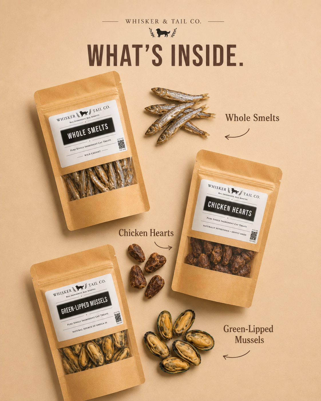 Cat Essentials Bundle