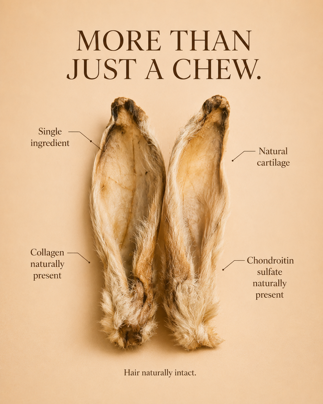 Rabbit Ears for Dogs & Cats | Single-Ingredient Natural Chew | Whisker & Tail Co.