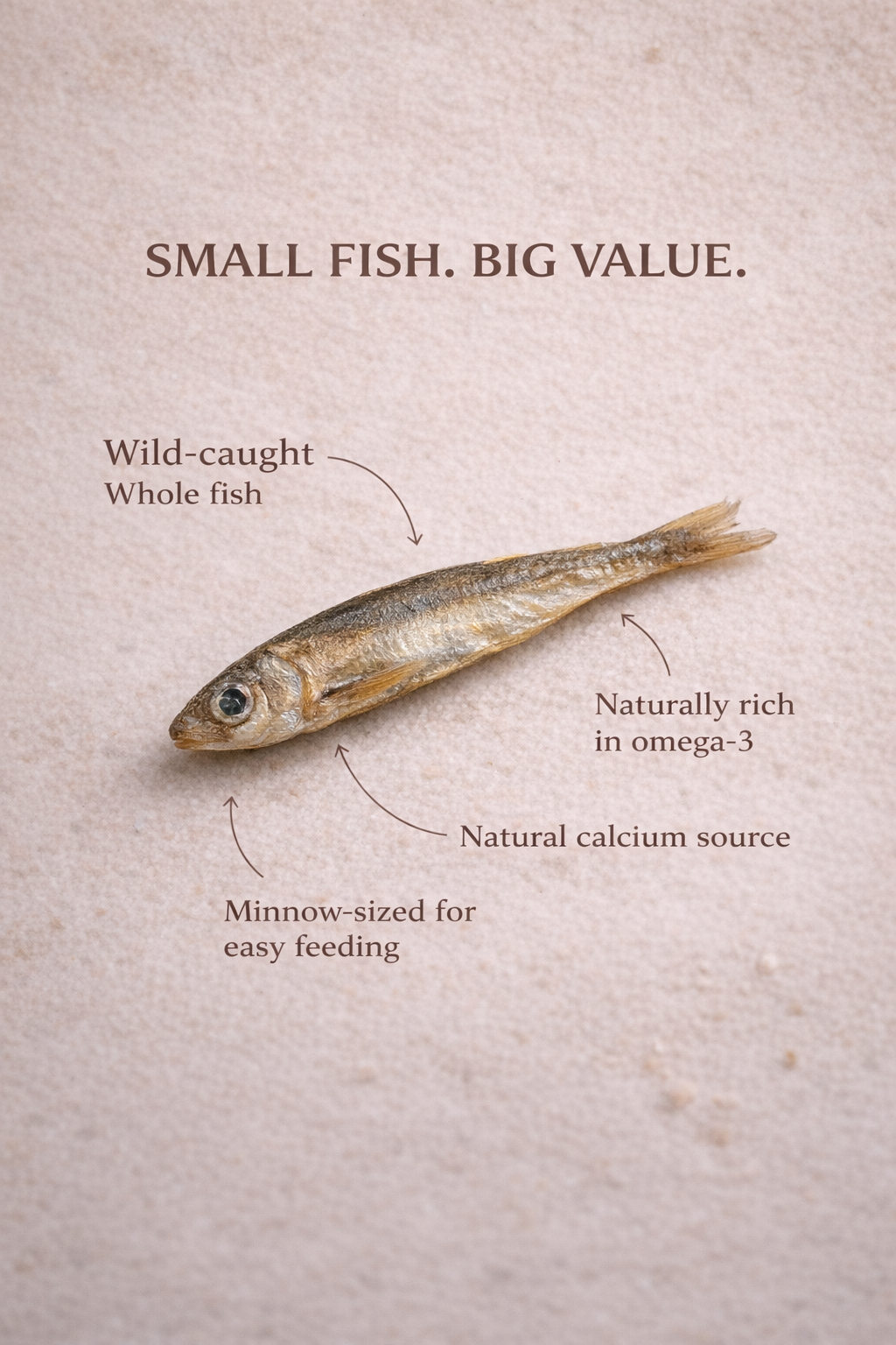 Smelts for Dogs & Cats | Omega-Rich Treat | Whisker & Tail Co.