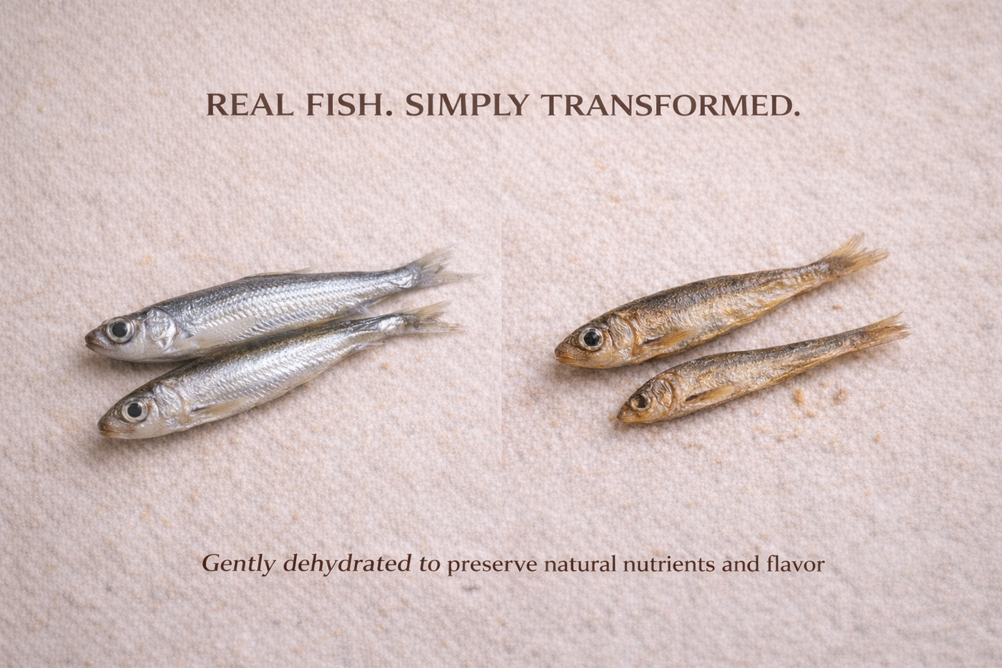 Smelts for Dogs & Cats | Omega-Rich Treat | Whisker & Tail Co.