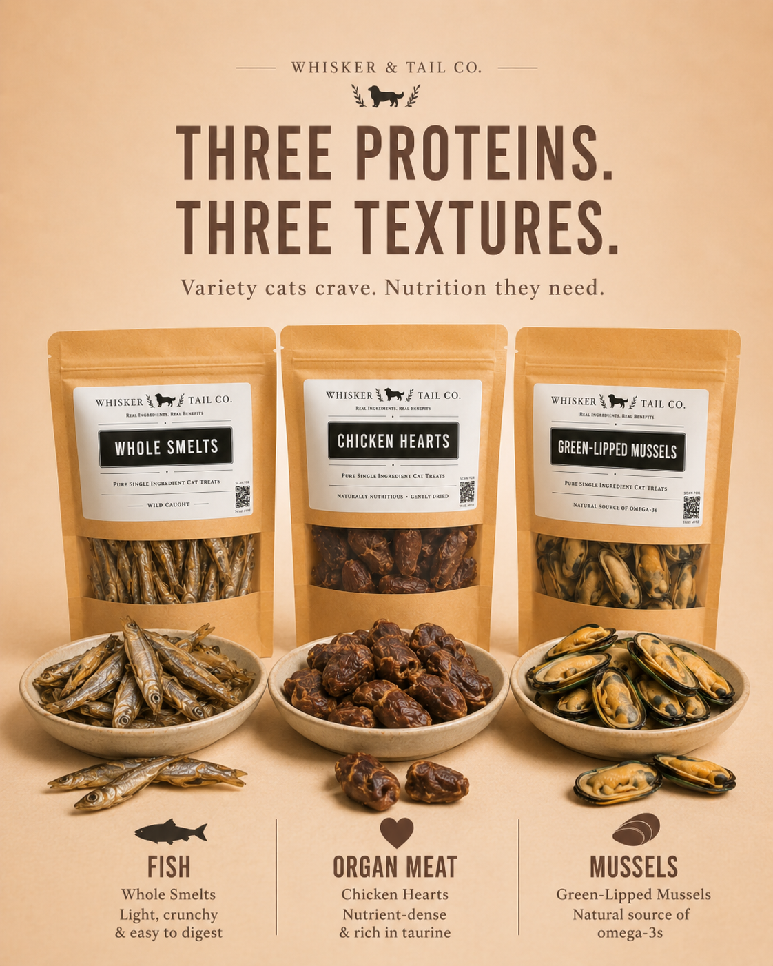 Cat Essentials Bundle