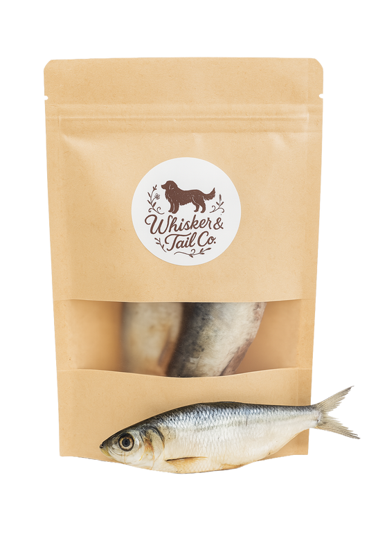 Wild Whole Sardines – Omega-3 Superfood Treats (3 oz)