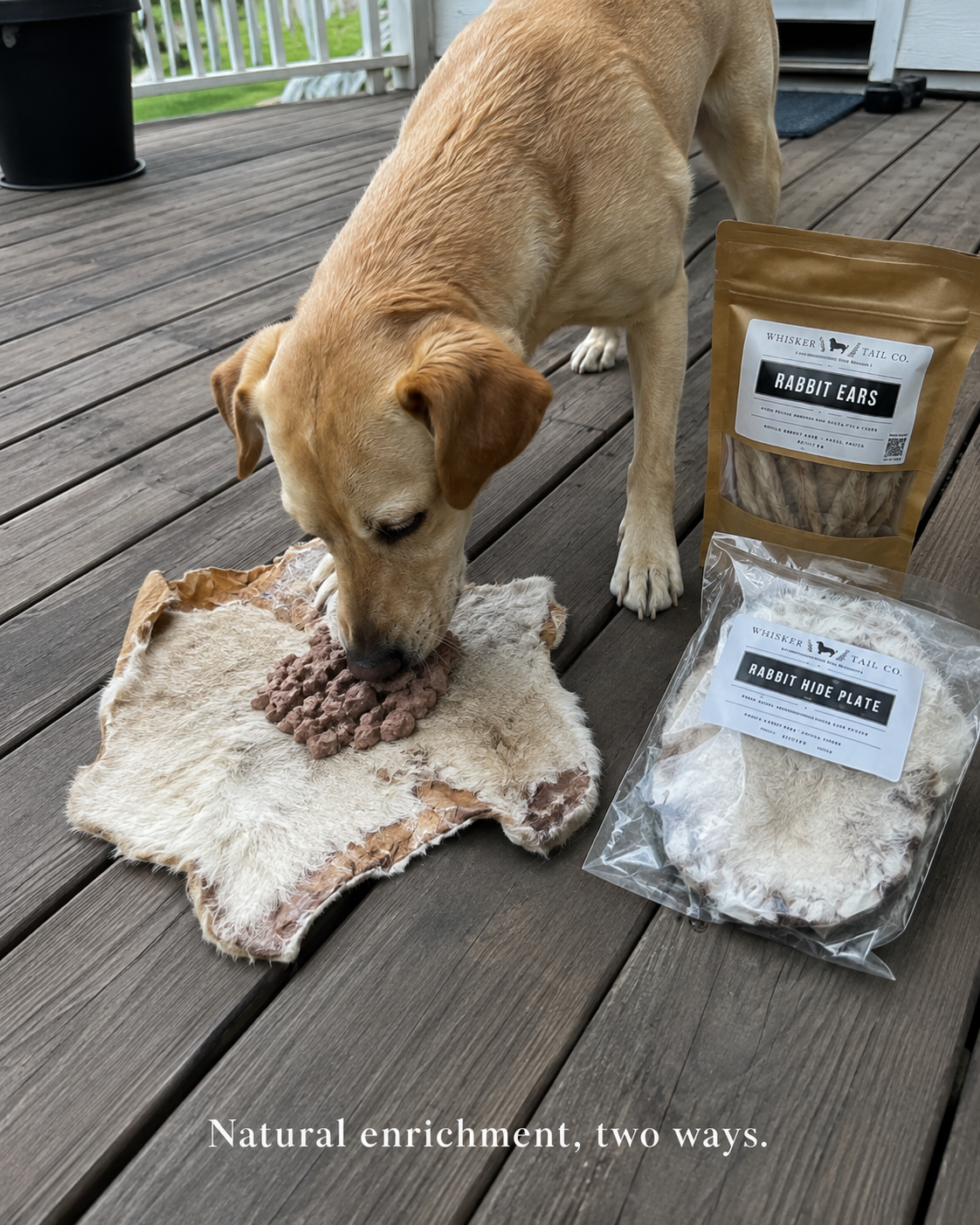 Rabbit Chew & Enrichment Bundle - Dogs Only