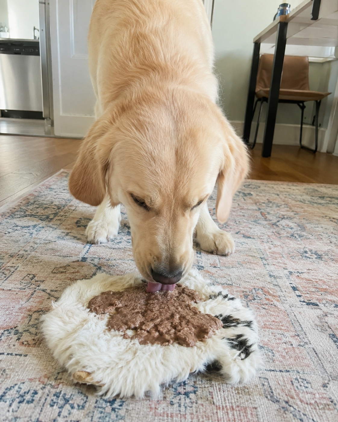 Rabbit Hide Plate for Dogs | Single-Ingredient Natural Chew | Whisker & Tail Co.