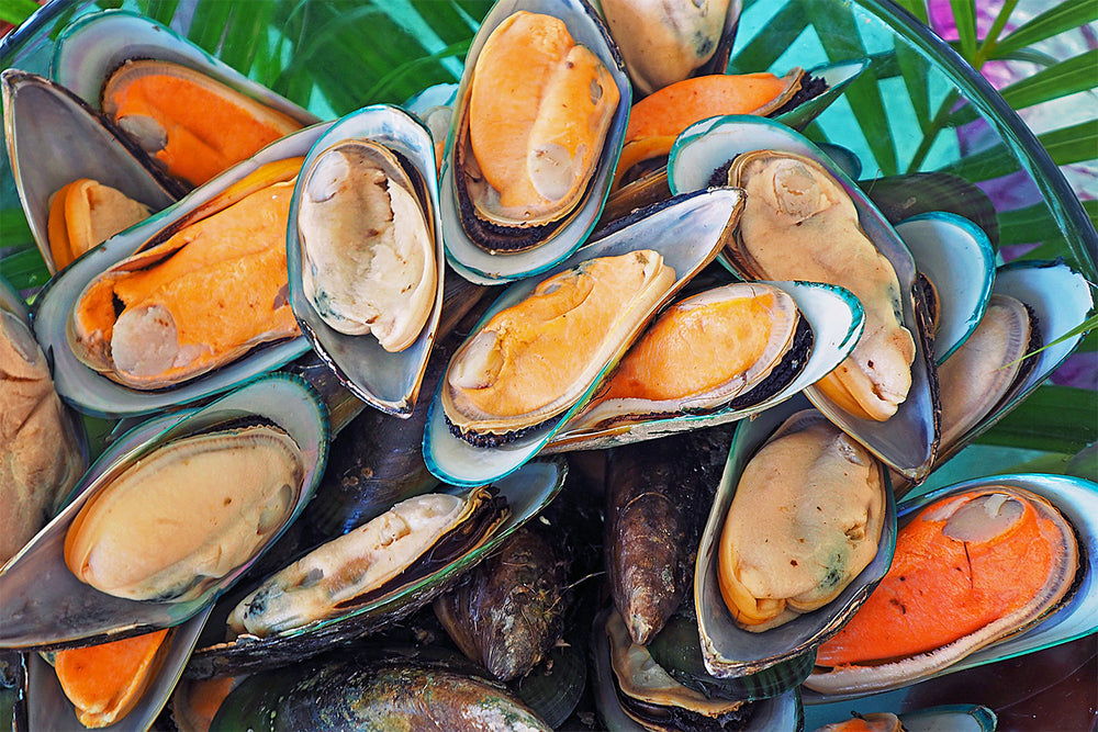 New Zealand Green-Lipped Mussels